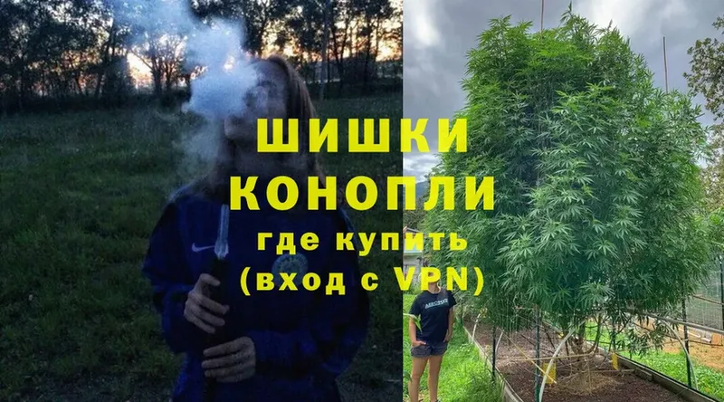 OMG зеркало  Ардатов  Конопля White Widow 